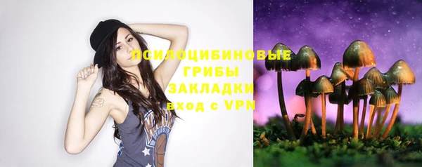 молекула духа Абинск