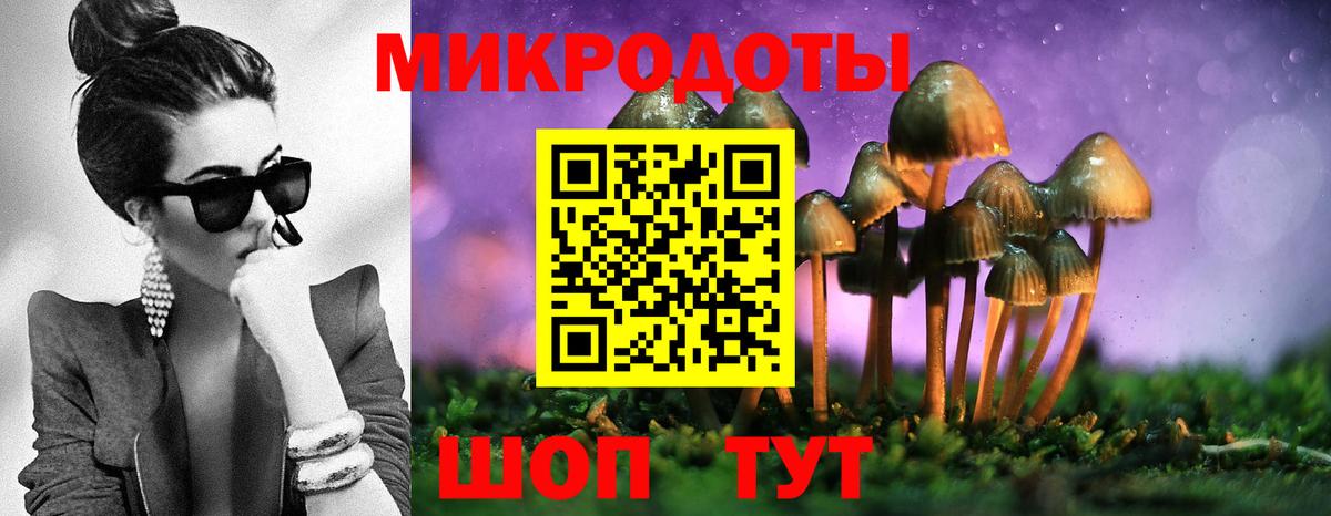 Омск  Псилоцибиновые грибы мухоморы  Вход с VPN 