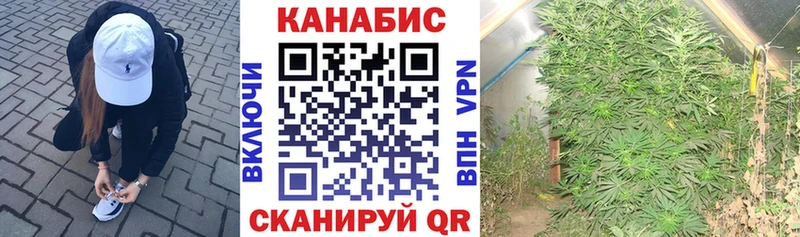 Бошки марихуана Bruce Banner Омск